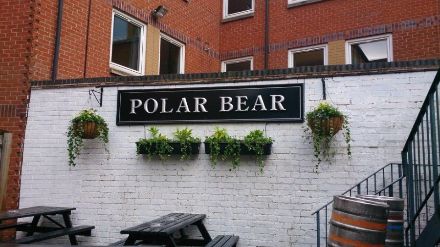 Polar Bear Gallery